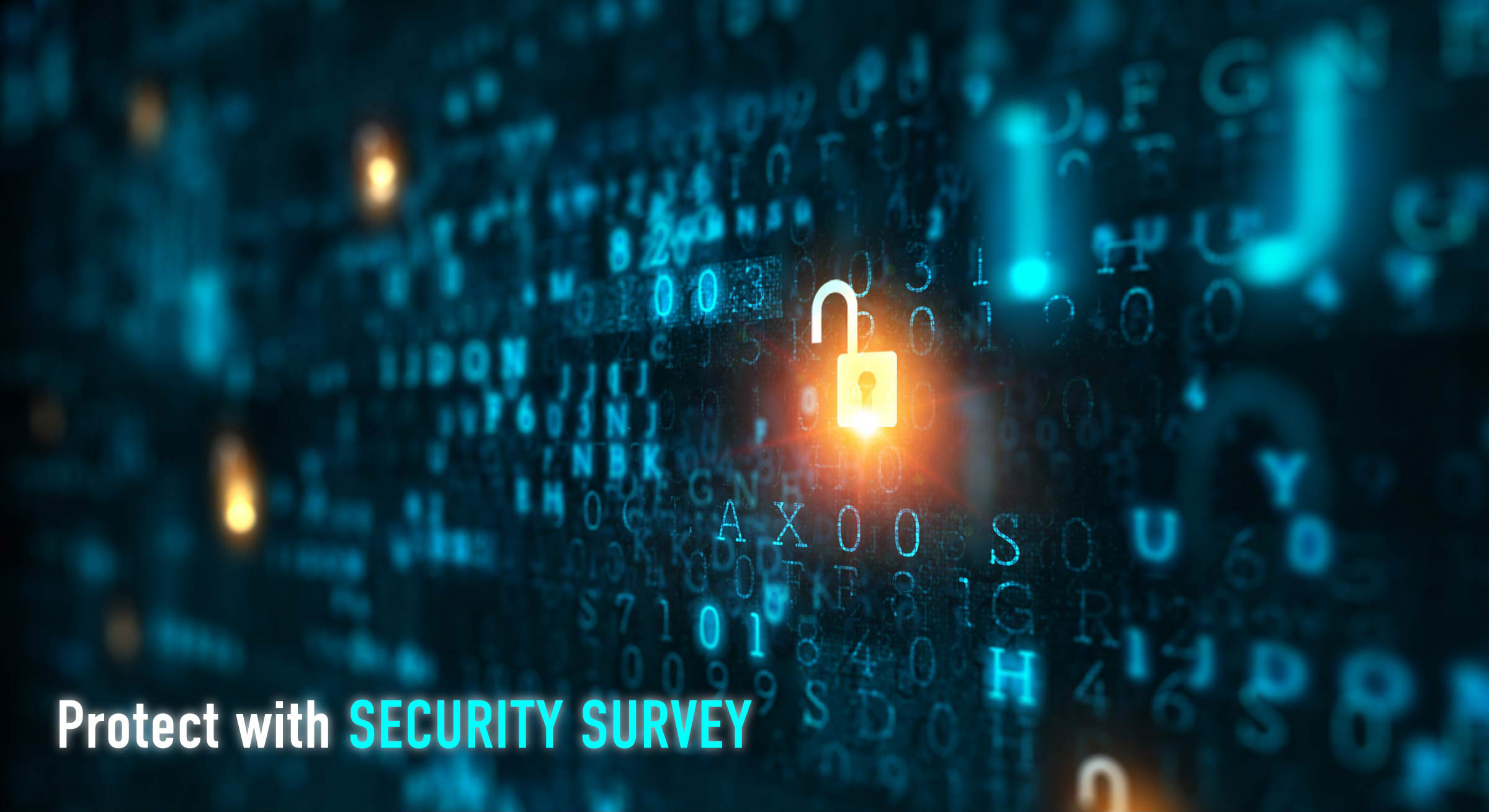 写真mv: 【フルリニューアル】脆弱性診断メニュー、ニーズに合わせて選べる4+Exプランをご用意